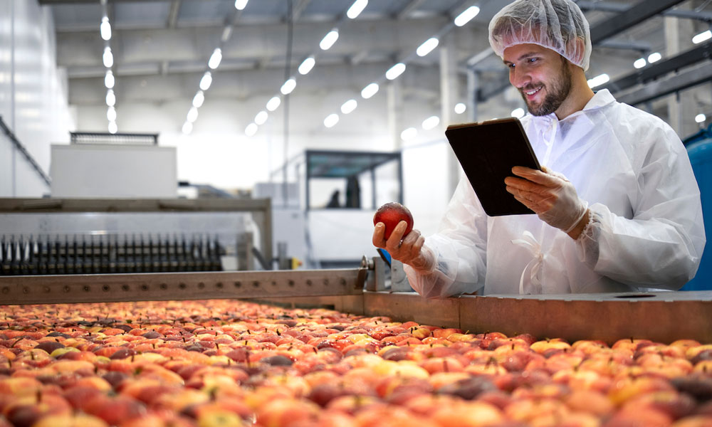 Who We Serve | Local Sales - Reddyice